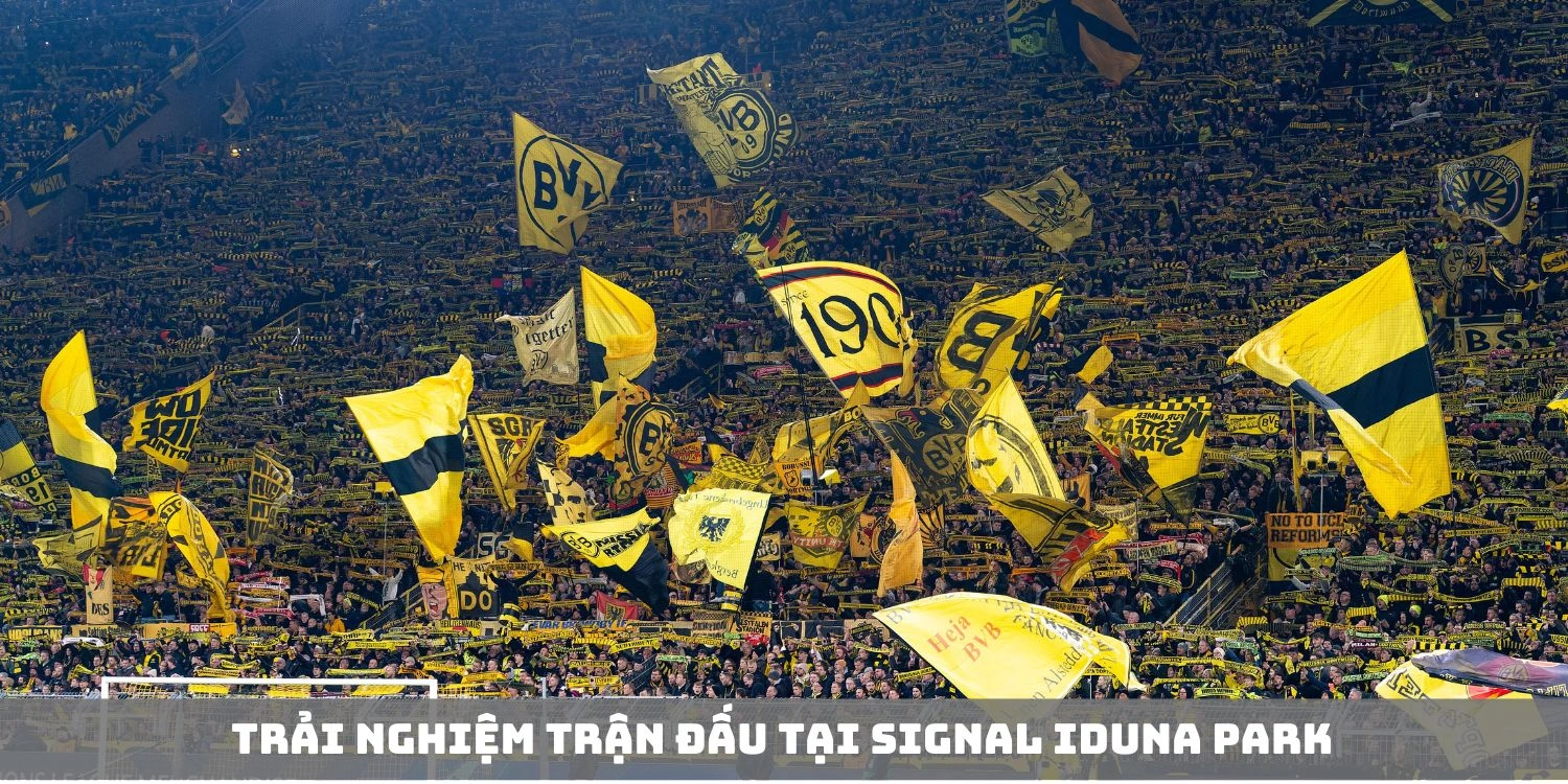 Trải nghiệm trận đấu tại Signal Iduna Park